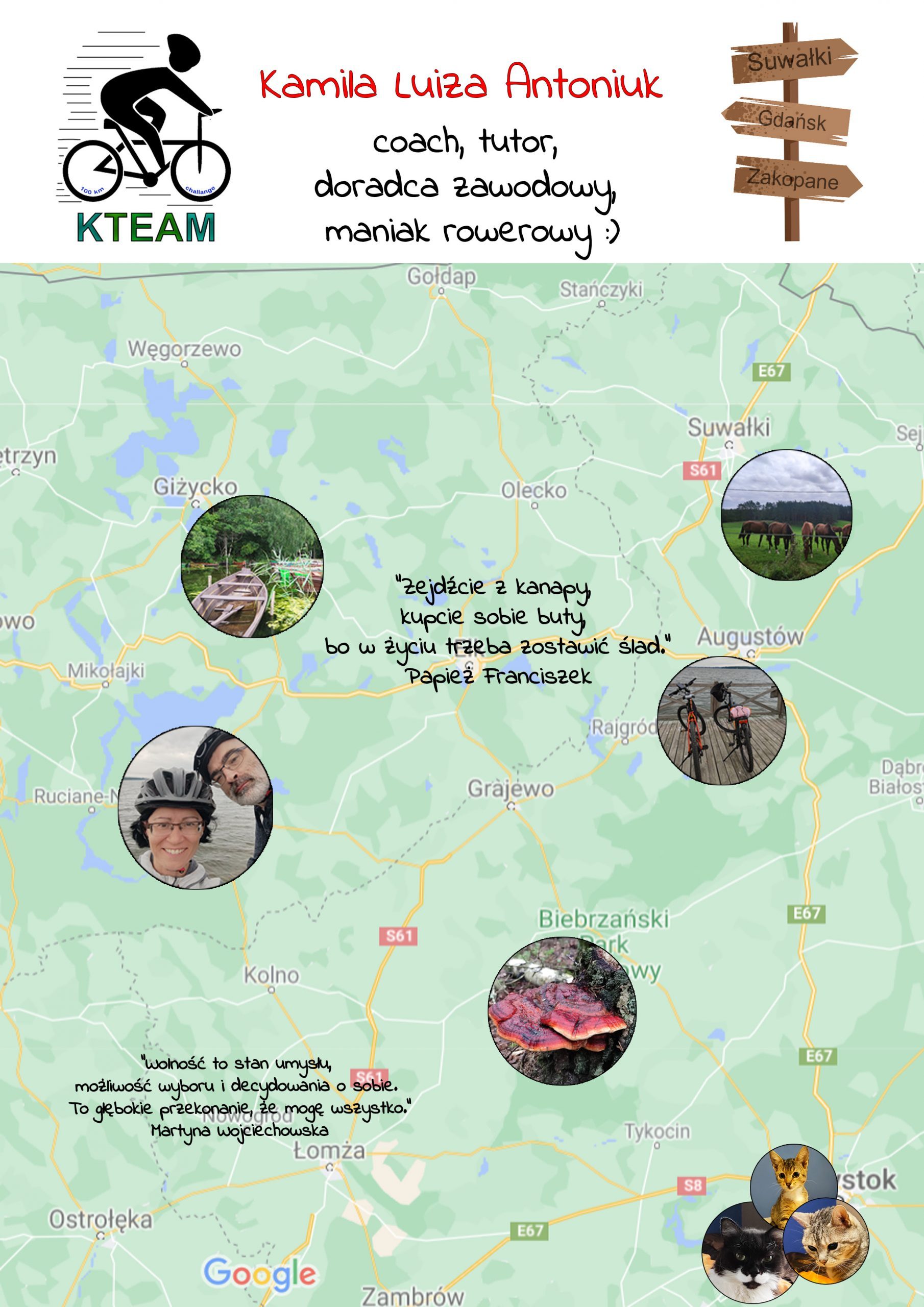 kamila natoniuk, sylwetka tutora, zainteresowania